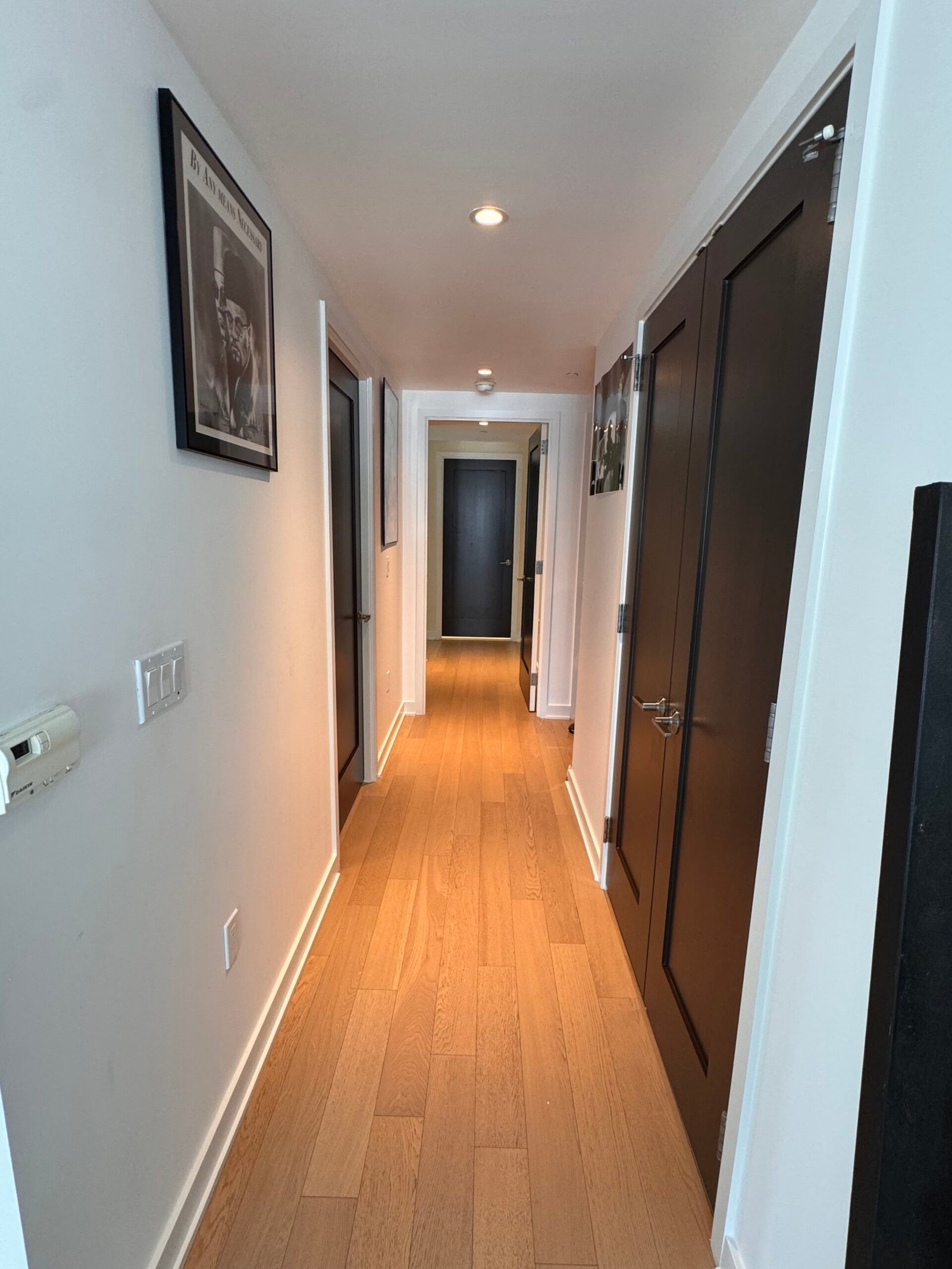 Interior doors repainted brown with white trim and hardwood floors in Arlington, VA